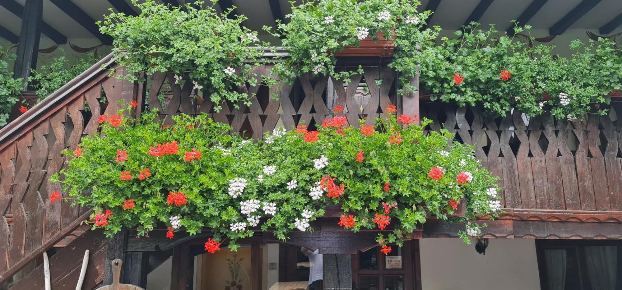 Стаи За Гости The Old House فيلينغراد المظهر الخارجي الصورة